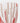 Carlo Moretti Verre en cristal de Murano "I Diversi" (Hauteur: 9 cm) - 328_TU - LECLAIREUR