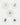 Thomas Eyck Set d'Assiettes en Porcelaine - 87428_TU - LECLAIREUR