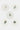 Thomas Eyck Set d'Assiettes en Porcelaine - 87428_TU - LECLAIREUR